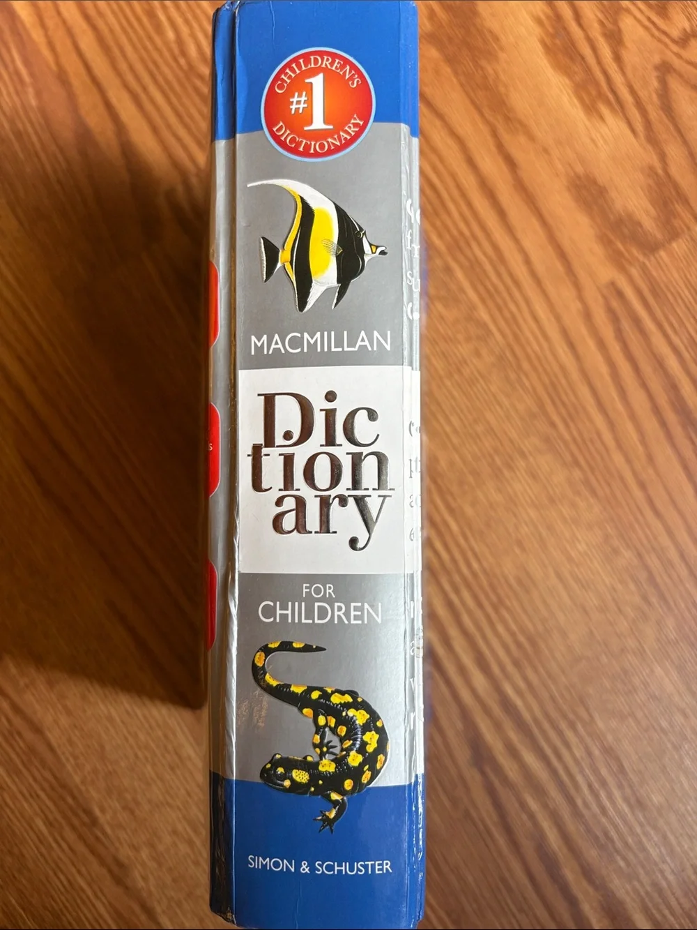 Simon & Schuster macmillan fully